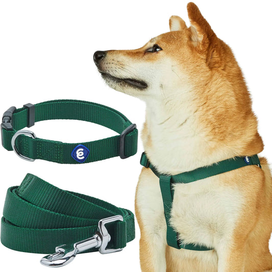 Blueberry Pet Essentials Matching Dog Collar Leash Harness Set in Verdant Green Adjustable Classic Solid Color Nylon Collar with Harness & 4 ft Leash for Large Dogs