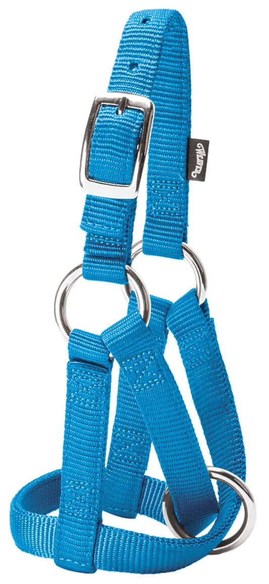 Weaver Leather Livestock Goat Halter Hurricane Blue Large