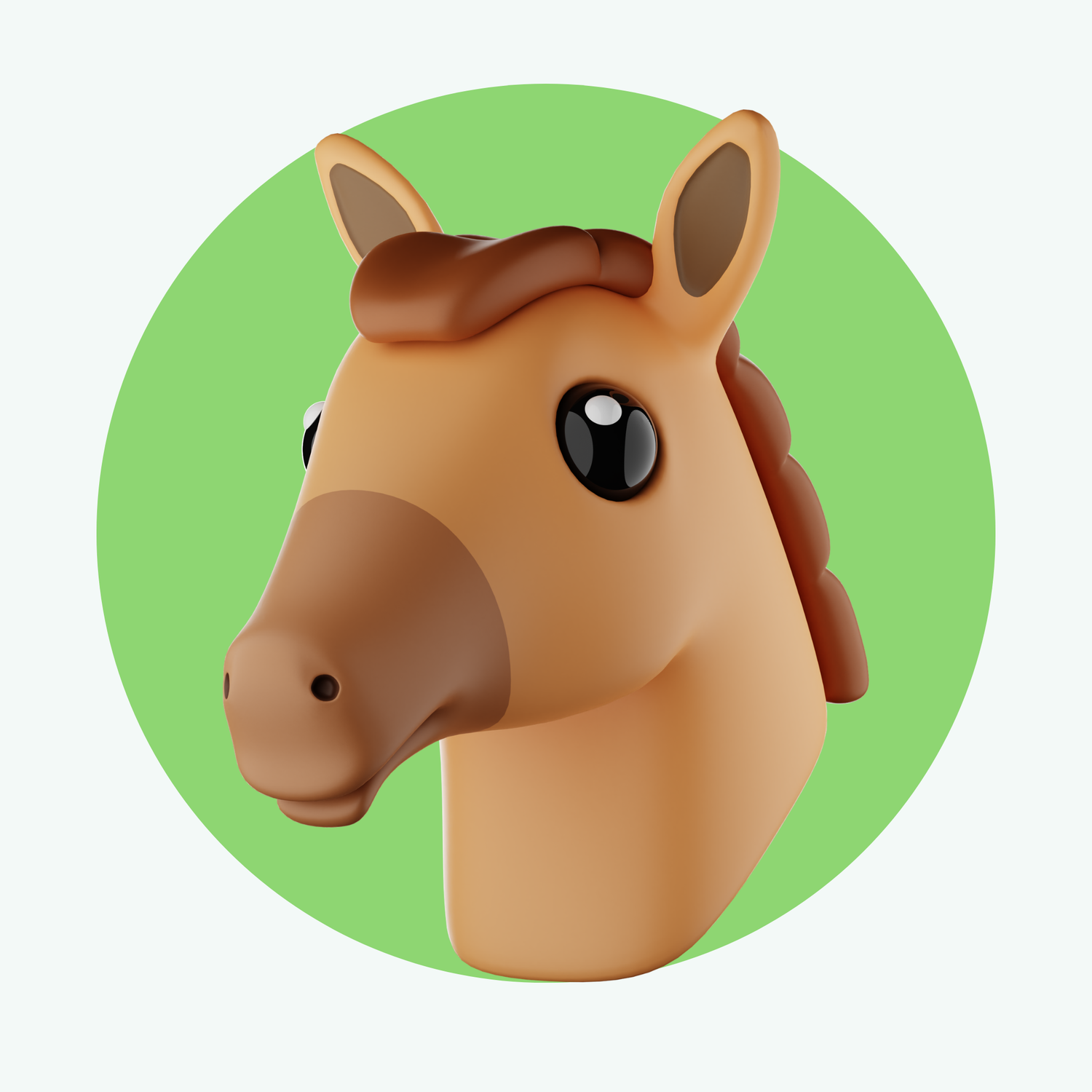 Horse Supplies