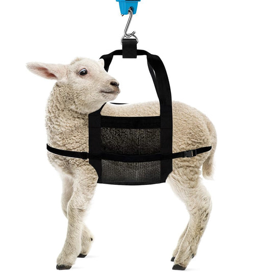 Calf & Goat Weighing Sling – Small Livestock Animal Scale Carrier