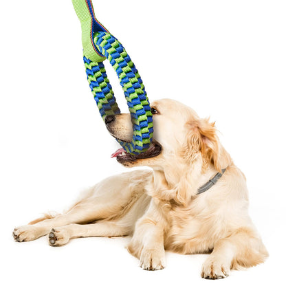 Dog playing with a green and blue braided toy on a white background
