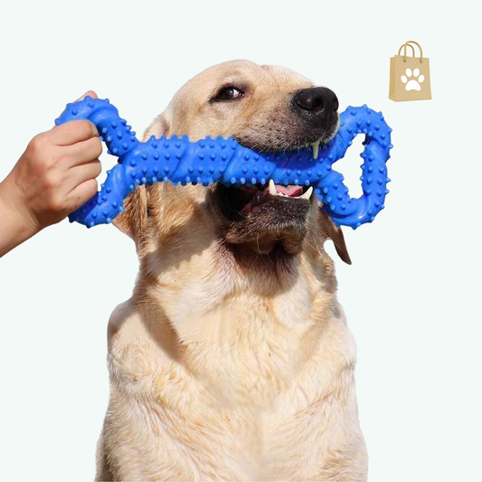 LECHONG Durable Dog Chew Toys 13 Inch Bone Shape Extra Large Dog Toys with Convex Design Strong Tug Toy for Aggressive Chewers Medium and Large Dogs Tooth Cleaning