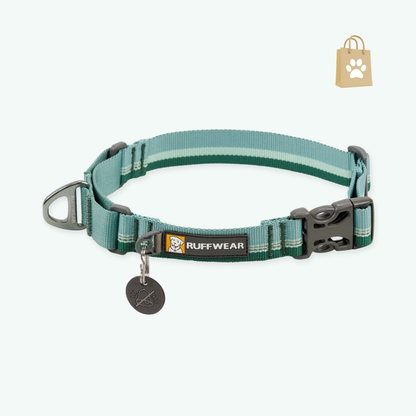 Ruffwear Web Reaction Dog Collar Martingale Collar for On-Leash Walking River Rock Green 23"-26"