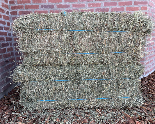Timothy Grass Hay