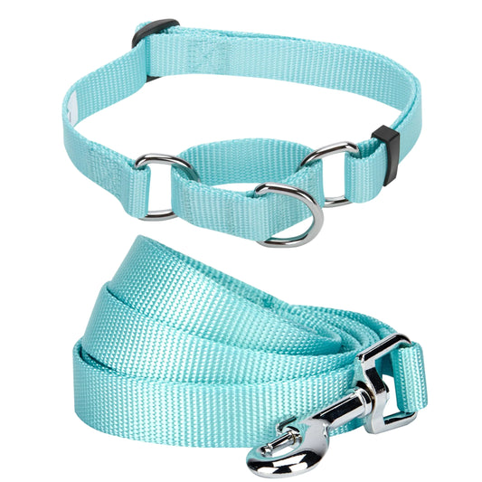 Blueberry Pet Essentials Matching Martingale Dog Collar and Leash Set in Mint Blue Heavy Duty Nylon Adjustable Collars with 4 ft Leash for Large Dogs