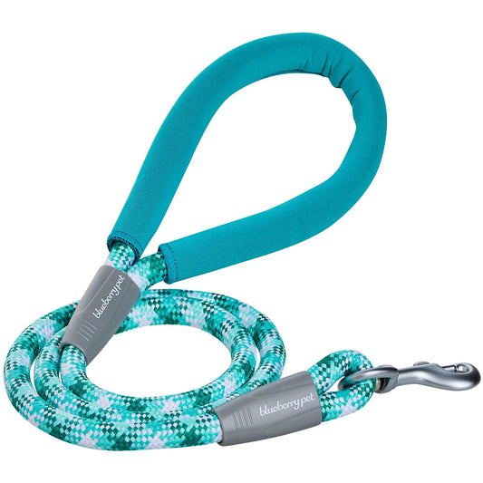 Blueberry Pet Dog Leash 4 x 1/2" - Puppy Essentials Heavy Duty Dog Leashes for Large Medium & Small Dogs Strong Rope with Durable Silver Hook Neoprene Handle 100% Polyester
