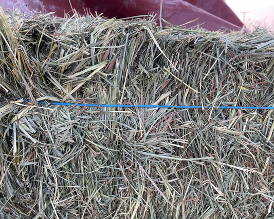 Feeder Hay