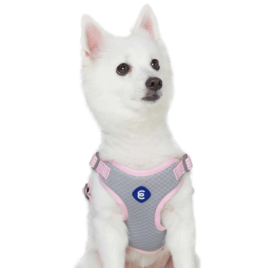 Blueberry Pet Essentials Back to Basics Reflective Dog Harness Vest Candy Pink Medium Adjustable Harnesses for Dogs
