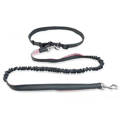 Dog Running Leash for Pet Supplies